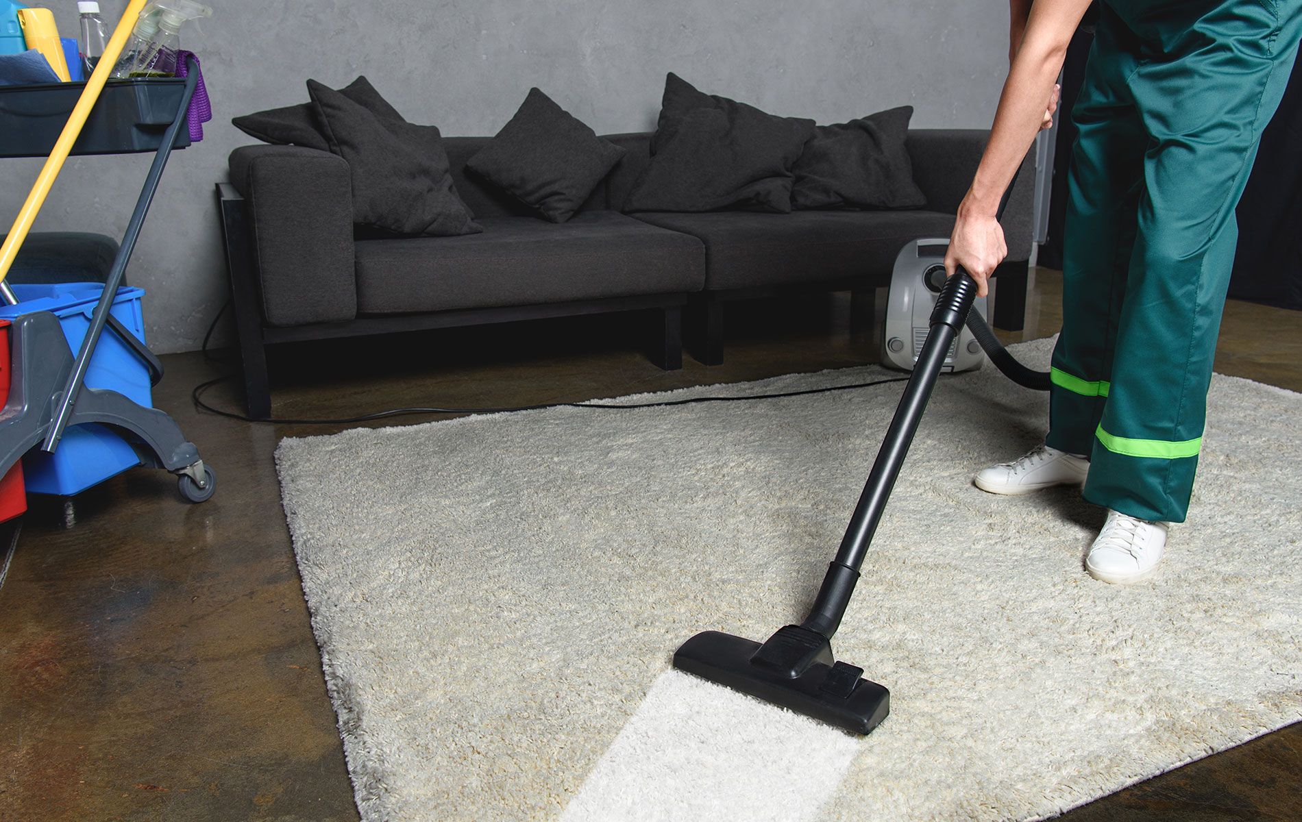 Professional Carpet Washing and Cleaning Service